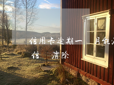 信用卡逾期一個月能消掉征信嗎(一直逾期征信會消除嗎)