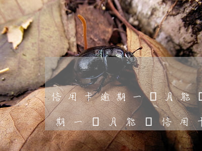 信用卡逾期一個月能辦信用卡嗎-信用卡逾期一個月能辦信用卡嗎有影響嗎