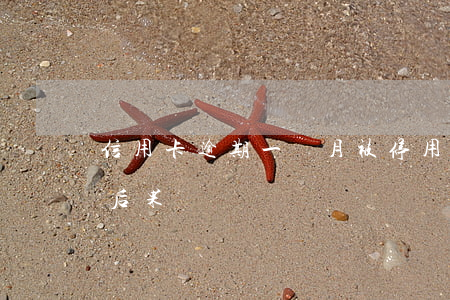 信用卡逾期一個月被停用(信用卡逾期一個月后果)