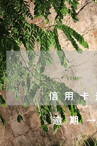 信用卡逾期一個月要多久還能辦卡-信用卡逾期一個月要多久還能辦卡呢