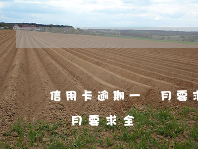 信用卡逾期一個月要求全額-信用卡逾期一個月要求全額還