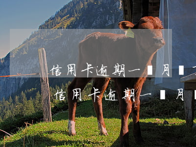 信用卡逾期一個月過了兩年了可以銷卡嘛-信用卡逾期一個月過了兩年了可以銷卡嘛