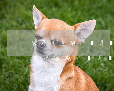 信用卡逾期一個月還100元會起訴嗎-信用卡逾期一個月還100元會起訴嗎知乎