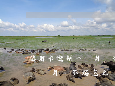 信用卡逾期一個月還不上怎么辦(信用卡逾期兩個月還不起怎么辦)