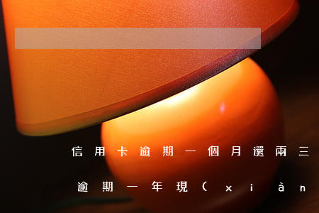 信用卡逾期一個月還兩三百(信用卡3000逾期一年現(xiàn)在還多少)