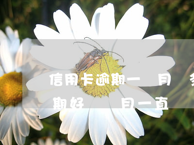 信用卡逾期一個月還多少次(兩萬的信用卡逾期好幾個月一直沒還嚴重嗎)