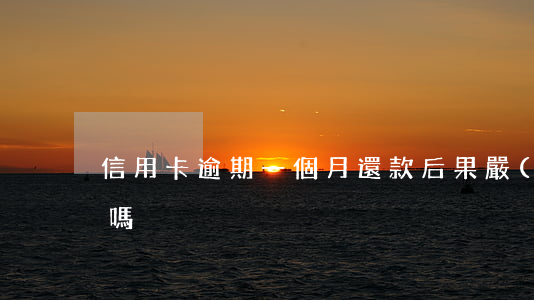 信用卡逾期一個月還款后果嚴(yán)重嗎