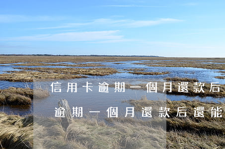 信用卡逾期一個月還款后還能用嗎-信用卡逾期一個月還款后還能用嗎知乎