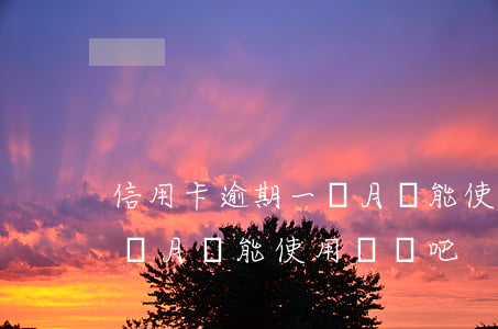 信用卡逾期一個月還能使用嗎(信用卡逾期一個月還能使用嗎貼吧)