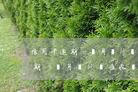 信用卡逾期一個月銀行會催收嗎-信用卡逾期一個月銀行會催收嗎知乎