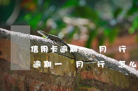 信用卡逾期一個月銀行會怎么處理-信用卡逾期一個月銀行會怎么處理呢