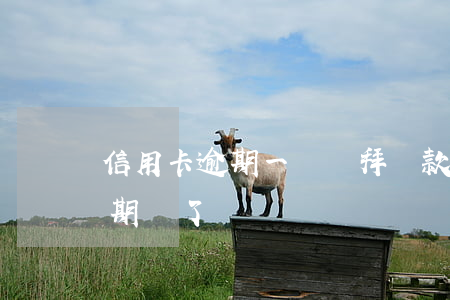信用卡逾期一個禮拜還款(信用卡逾期了一星期還了)