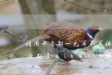 信用卡逾期一元算不算征信有問題-一元錢逾期了會(huì)影響征信嗎