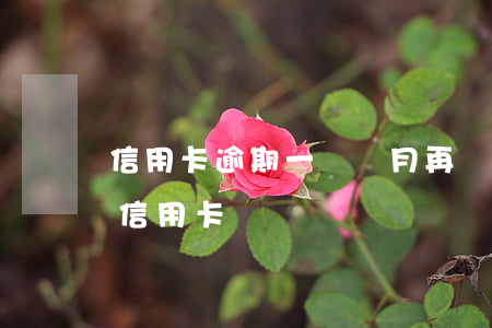 信用卡逾期一兩個月再還可以把(逾期兩天還信用卡)