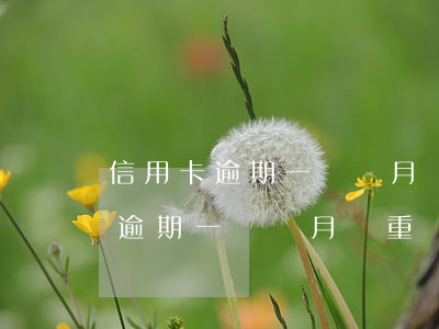 信用卡逾期一兩個月嚴重嗎怎么辦-信用卡逾期一兩個月嚴重嗎怎么辦啊