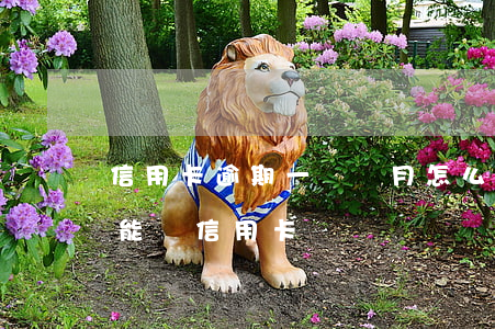 信用卡逾期一兩個月怎么辦(逾期兩個月能不能辦信用卡)