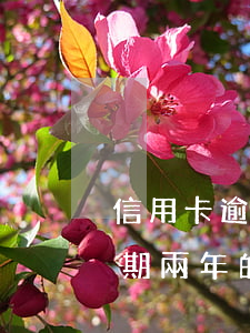 信用卡逾期一兩個月會怎樣(有沒有信用卡逾期兩年的)