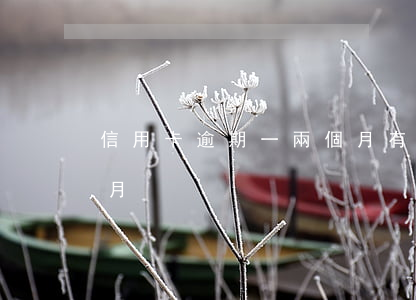 信用卡逾期一兩個月有事嗎(信用卡 逾期 一個月)