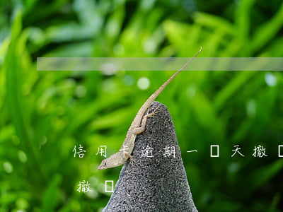 信用卡逾期一兩天撤銷-信用卡逾期一兩天撤銷