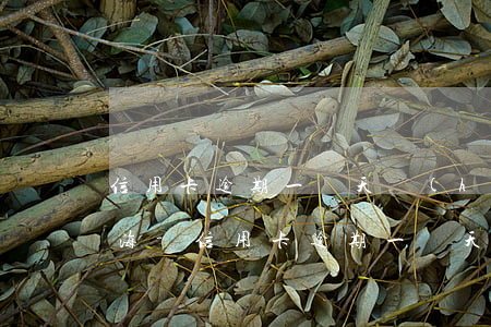 信用卡逾期一兩天會(huì)上征信嗎上海-信用卡逾期一兩天會(huì)上征信嗎上海銀行