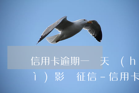 信用卡逾期一兩天會(huì)不會(huì)影響征信-信用卡逾期一兩天會(huì)不會(huì)影響征信招商