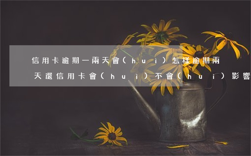信用卡逾期一兩天會(huì)怎樣(逾期兩天還信用卡會(huì)不會(huì)影響征信)
