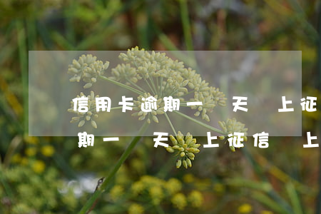 信用卡逾期一兩天會上征信嗎上海(信用卡逾期一兩天會上征信嗎上海銀行)
