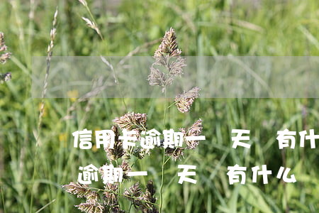 信用卡逾期一兩天還有什么問題嗎-信用卡逾期一兩天還有什么問題嗎知乎
