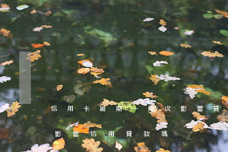 信用卡逾期一兩次影響貸款嗎(貸款逾期兩次影響信用貸款嗎)