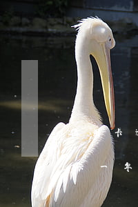 信用卡逾期一兩次會(huì)怎么樣(信用卡一年逾期兩次有什么影響大嗎)