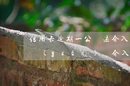信用卡逾期一公檢法介入(信用卡逾期公安機關(guān)會介入嗎)