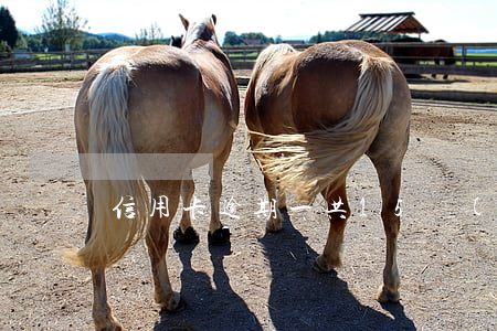 信用卡逾期一共15萬(wàn)