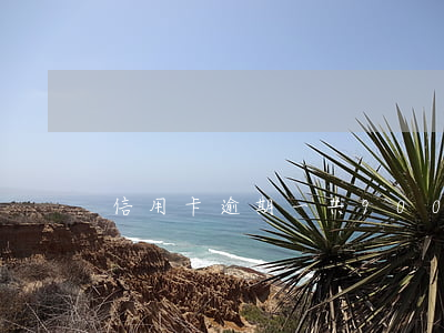 信用卡逾期一共900