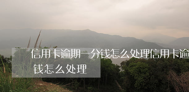 信用卡逾期一分钱怎么处理(信用卡逾期一分钱怎么处理)