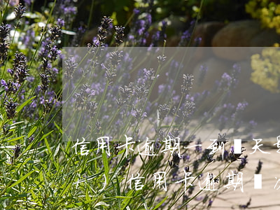 信用卡逾期一到兩天影響征信(一年內(nèi)信用卡逾期兩次影響征信嗎)