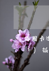 信用卡逾期一千九會(huì)不會(huì)抓人(信用卡9萬逾期3個(gè)月封卡了 讓我全額還 要不就報(bào)警)