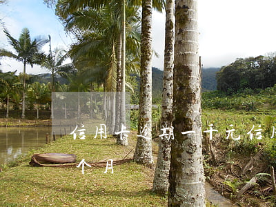 信用卡逾期一千元(信用卡1000元逾期一个月)