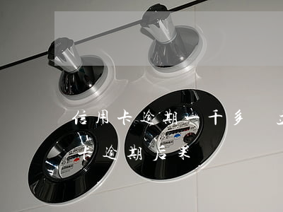 信用卡逾期一千多會立案嗎(一萬以下的信用卡逾期后果)