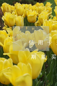 信用卡逾期一周买房能贷款(一两次信用卡逾期能买房吗)