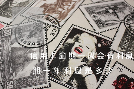 信用卡逾期一周会有利息吗(一万块信用卡逾期一年利息是多少)