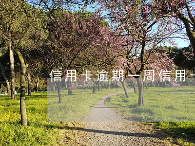 信用卡 逾期 一周（信用卡逾期不超過一周）