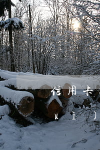 信用卡逾期一周征信會(huì)不會(huì)受影響-信用卡逾期一周征信會(huì)不會(huì)受影響呢