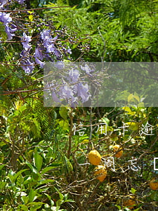 信用卡逾期一周忘記還了怎么辦（信用卡逾期一周忘記）