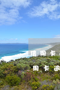 信用卡逾期一周怎么撤銷征信(征信有一個信用卡逾期怎么辦)