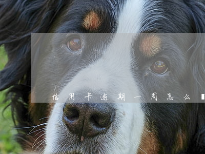 信用卡逾期一周怎么處理(信用卡 逾期 一周)