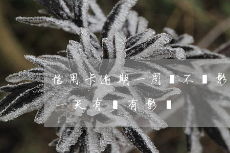 信用卡逾期一周會不會影響(銀行信用卡逾期一天有沒有影響?)