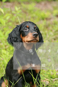 信用卡逾期一周會導(dǎo)致銀行卡被凍結(jié)嗎-信用卡逾期一周會導(dǎo)致銀行卡被凍結(jié)嗎