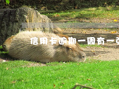 信用卡 逾期 一周（有一张信用卡逾期一周）