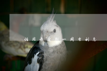 信用卡逾期一周有利息嗎(信用卡 逾期利息)