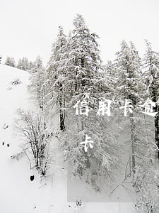 信用卡逾期一周還了刷不了(超期一天還信用卡)